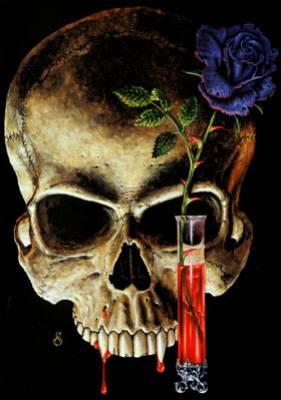 Origines du mot vampire 